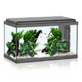 Aquatlantis Advance LED 60 - fekete LED világítású akvárium szett