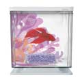 Marina Betta Kits Flower 