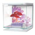 Marina Betta Kits Flower 