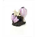 biOrb Barnacle ornament small pink