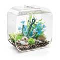 Oase biOrb LIFE 30 clear - 30 literes átlátszó keretes akril akvárium szett