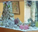 Akváriumok Opti-White üvegből