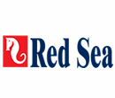 Red Sea