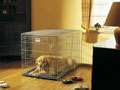 Savic Dog Résidence - kutya szállító ketrec
