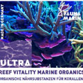Fauna Marine Reef Marine Vitality Organics
